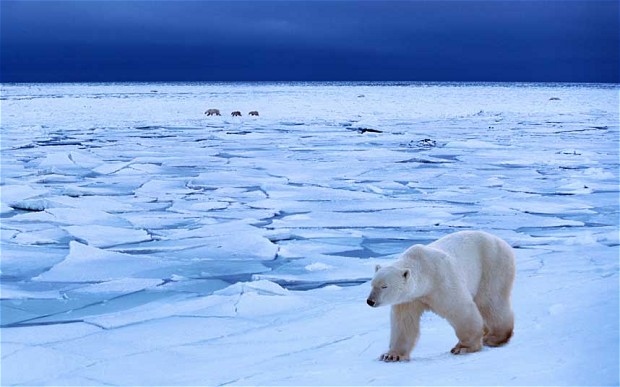 1ice_2678671b