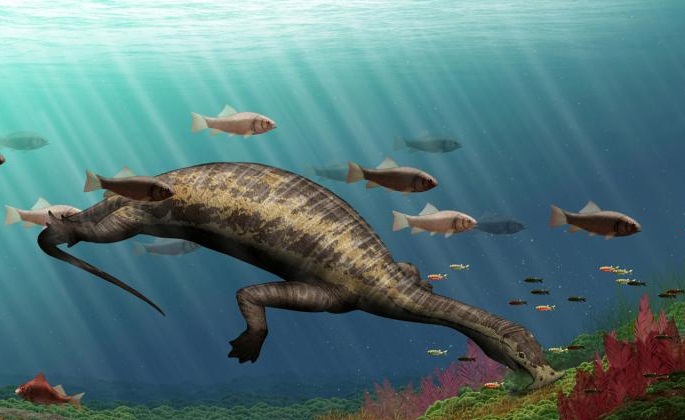 Ocean's first vegetarian reptile Ocean's first vegetarian reptile