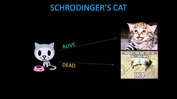 Schrodinger's Cat Schrodinger's Cat