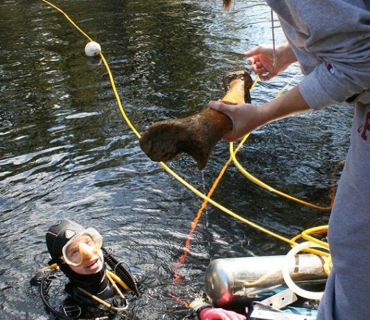 Underwater archaeologists discover 14500-years old butchering site in Florida