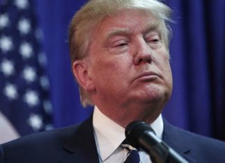 Donald Trump on Net Neutrality, cyber warfare, and ISIS online recruitment.