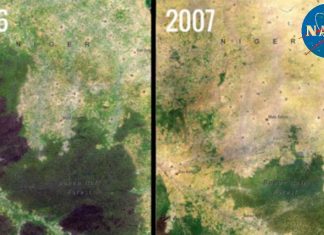 Baban Rafi Deforestation, Niger satellite image.