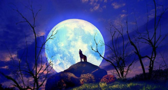 How to take great pictures of the first full moon of 2017 Full Moon-Wolf Moon-2017-photographs