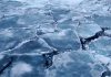 Arctic-sea-ice-volume-Arizona-State-University