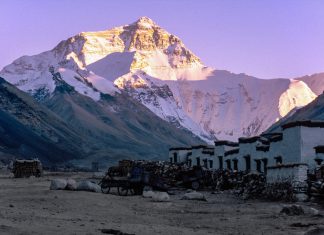 Himalayan study bears abominable results for Yeti enthusiasts