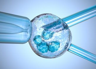 China clones monkeys for the first time ever