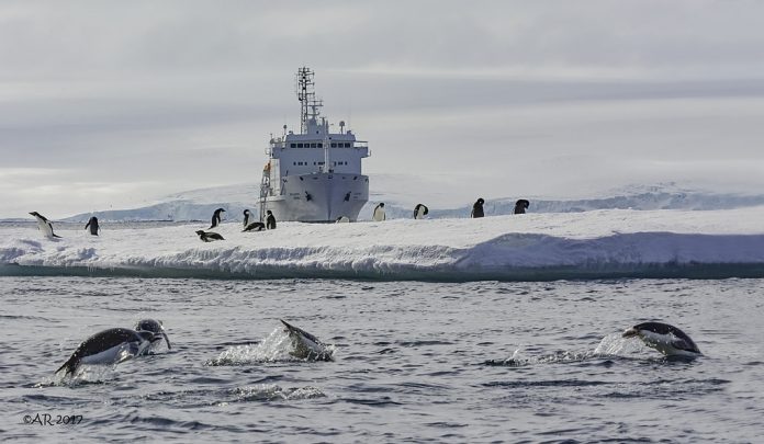 Antarctica