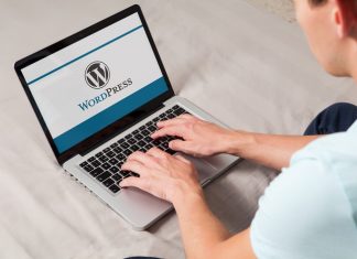 The Best Themes for Your WordPress Blog WordPress CMS