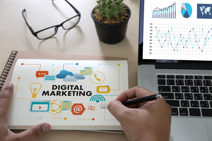 Digital Marketing Startup