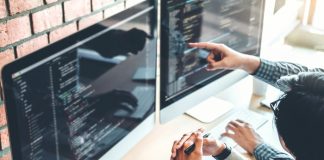 Software Developer Writing Code