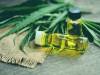 Canna-Business 101: Here’s How to Break Into the Marijuana Boom