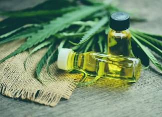 Canna-Business 101: Here’s How to Break Into the Marijuana Boom Canna-Business 101: Here’s How to Break Into the Marijuana Boom