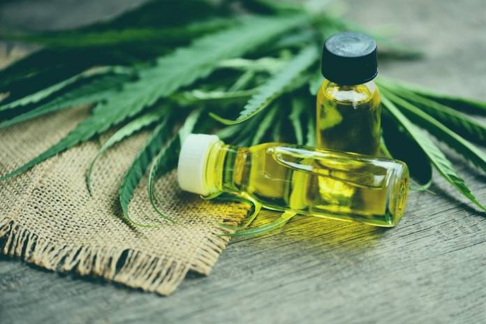 Canna-Business 101: Here’s How to Break Into the Marijuana Boom Canna-Business 101: Here’s How to Break Into the Marijuana Boom
