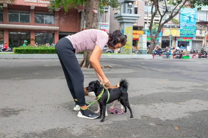 How Can Pet Ownership Improve Your Health? How Can Pet Ownership Improve Your Health?
