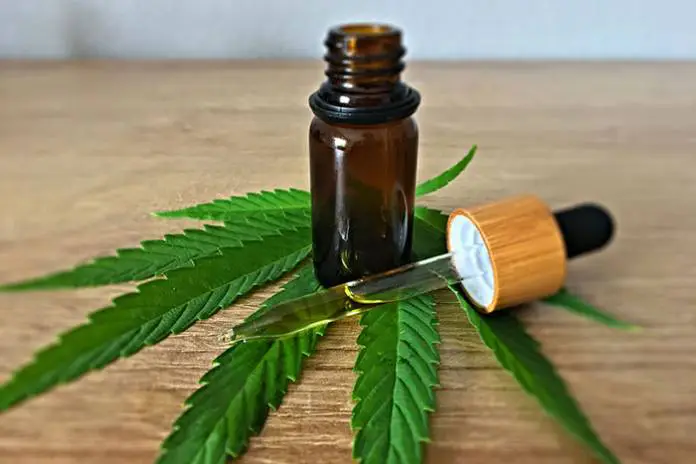 CBD Oil: Expectations Vs. Reality CBD Oil: Expectations Vs. Reality