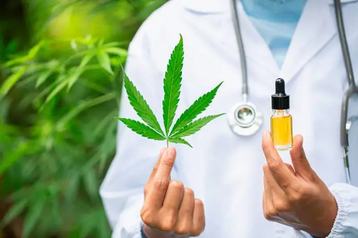 Answering Your CBD Questions Answering Your CBD Questions