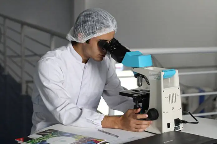 Why You Need to Read NCERT Solutions for Class 8 Science Chapter 5 to Good Score in Exams Why You Need to Read NCERT Solutions for Class 8 Science Chapter 5 to Good Score in Exams