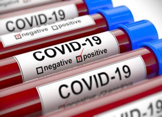 Jean Danhong Chen on Easing the Fear for Immigrants to get COVID-19 Testing Jean Danhong Chen on Easing the Fear for Immigrants to get COVID-19 Testing