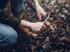 Survival Tips as a Fresher