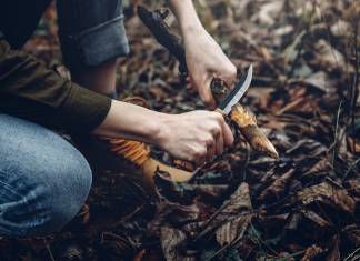 Survival Tips as a Fresher Survival Tips as a Fresher