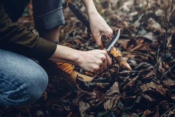 Survival Tips as a Fresher Survival Tips as a Fresher