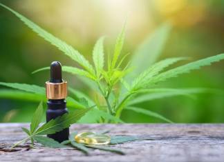 Common CBD Misconceptions You Should Stop Believing Common CBD Misconceptions You Should Stop Believing