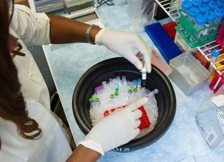 President Trump’s Campaign Manager, Bill Stepien, Tests Positive for COVID-19 President Trump’s Campaign Manager, Bill Stepien, Tests Positive for COVID-19