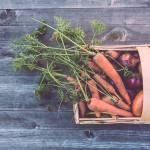 3 Ways to Live a More Sustainable Lifestyle 3 Ways to Live a More Sustainable Lifestyle