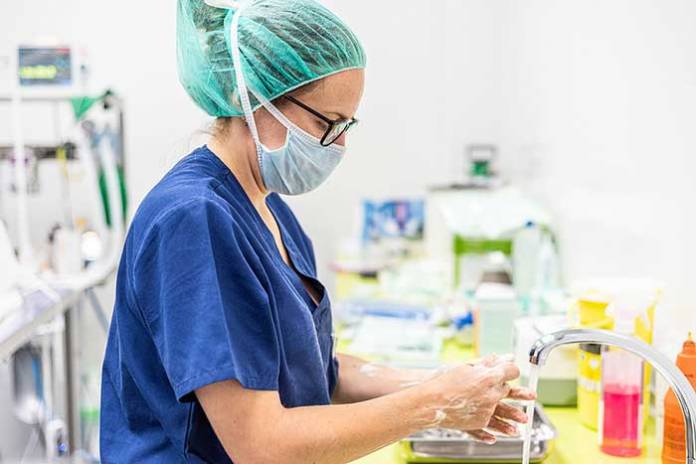 11 Reasons Why Nurses Choose This Career 11 Reasons Why Nurses Choose This Career
