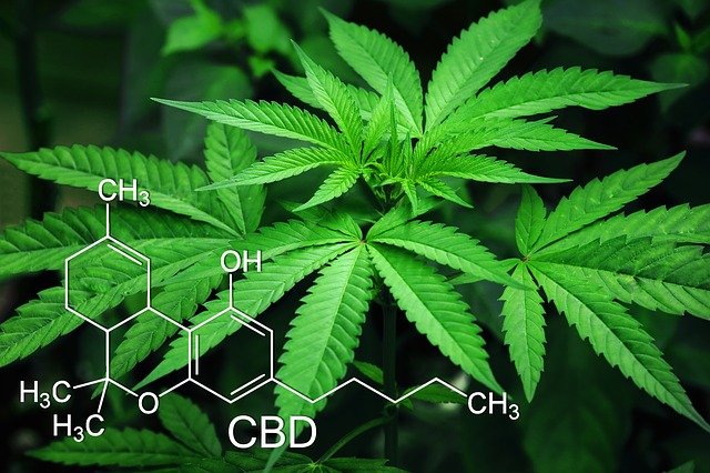 House of Representatives Passes Bill to Legalize Cannabis House of Representatives Passes Bill to Legalize Cannabis