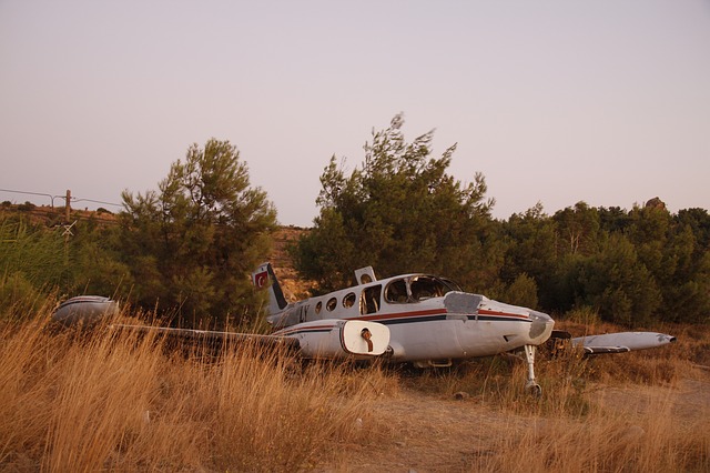 Three People Die After Florida-Bound Single-Engine Plane Crashes In Georgia Three People Die After Florida-Bound Single-Engine Plane Crashes In Georgia