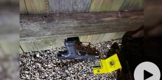 Chicago Police Officer Shoots 13-Year-Old Boy Dead; Mayor Calls for Release of Video Evidence