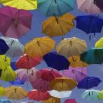 3 Best Digital Insurance Companies of 2021 3 Best Digital Insurance Companies of 2021