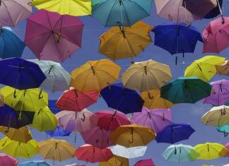 3 Best Digital Insurance Companies of 2021 3 Best Digital Insurance Companies of 2021