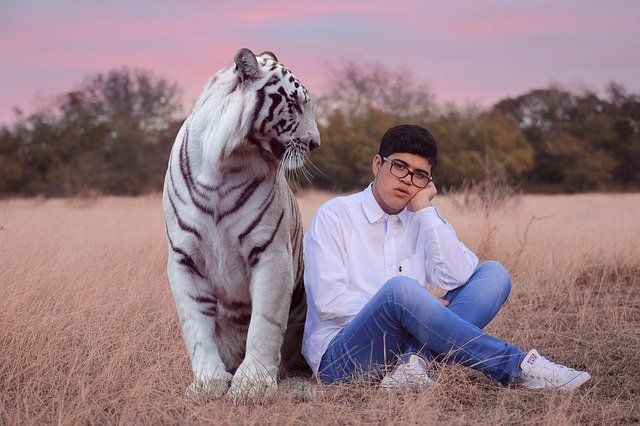 Govt Seizes 68 Tigers, Lions, and Jaguar from Tiger King Park for Owners’ Negligence