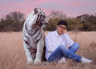 Govt Seizes 68 Tigers, Lions, and Jaguar from Tiger King Park for Owners’ Negligence Govt Seizes 68 Tigers, Lions, and Jaguar from Tiger King Park for Owners’ Negligence