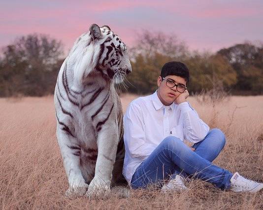 Govt Seizes 68 Tigers, Lions, and Jaguar from Tiger King Park for Owners’ Negligence Govt Seizes 68 Tigers, Lions, and Jaguar from Tiger King Park for Owners’ Negligence