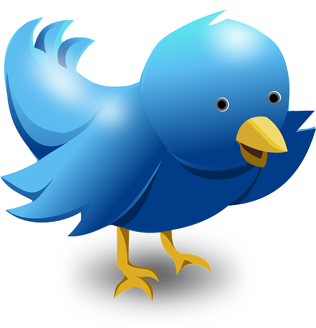 Twitter Gives Headup on Three Major Features That May Soon Hit the Market