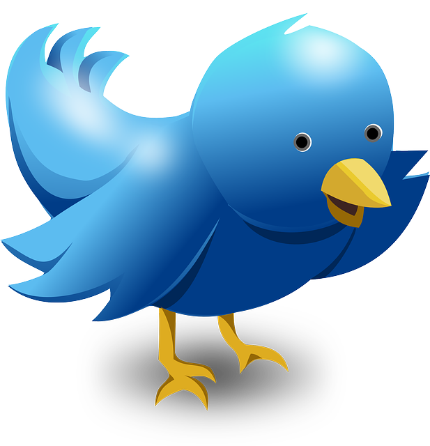 Twitter Gives Headup on Three Major Features That May Soon Hit the Market