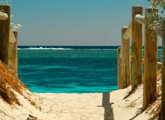 Europe Tries to Rescue Summer Europe Tries to Rescue Summer