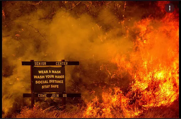 Professor of Criminology Charged With Setting Fires to Sierra Nevada Forest Professor of Criminology Charged With Setting Fires to Sierra Nevada Forest