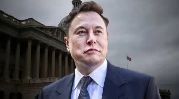 Elon Musk Fires Twitter Engineer for Explaining Reasons for Declining Popularity Elon Musk Fires Twitter Engineer for Explaining Reasons for Declining Popularity