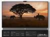 Half a Million 55-Inch Free TV Sets to Be Given Away in Return for Ads