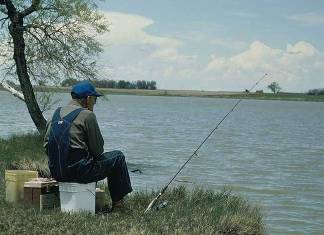 Illinois Lists Fish That Should Not Be Consumed From Specific Rivers Due to Poisoning Risks