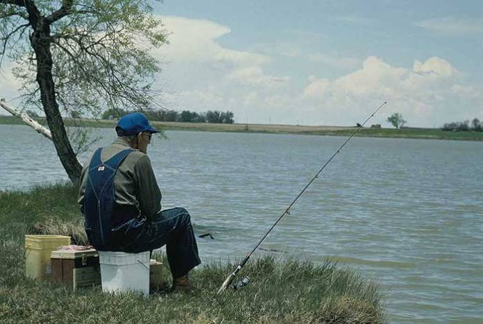 Illinois Lists Fish That Should Not Be Consumed From Specific Rivers Due to Poisoning Risks