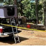 Black Bear Kills Man Drinking Morning Coffee in Arizona; Officials Puzzled
